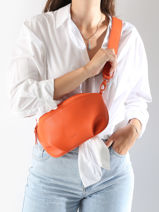 Heuptasje Oxer Leder Etrier Bruin oxer EOXE022M-vue-porte