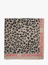 Foulard Pieces Bruin sabri 17164359