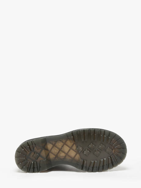 Enkellaarsjes 1460 Pascal Uit Leder Dr martens Grijs accessoires 31693029 ander zicht 5