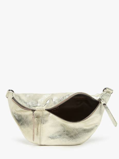 Heuptasje Milano Goud nine NI24062 ander zicht 3